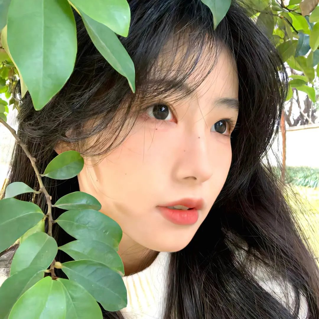 传闻中的白月光
