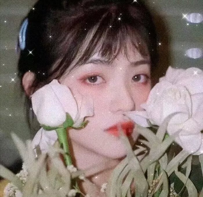 黑暗王子：摄欲人生